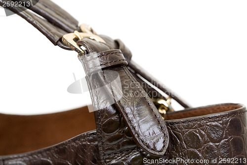 Image of Close-up brown fashion ladies handbag crocodile