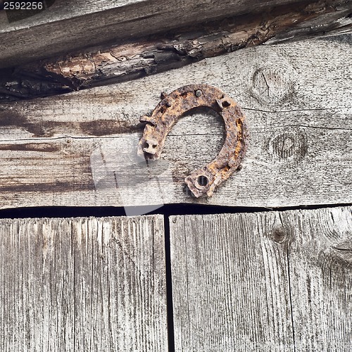 Image of horseshoe on the plank wall