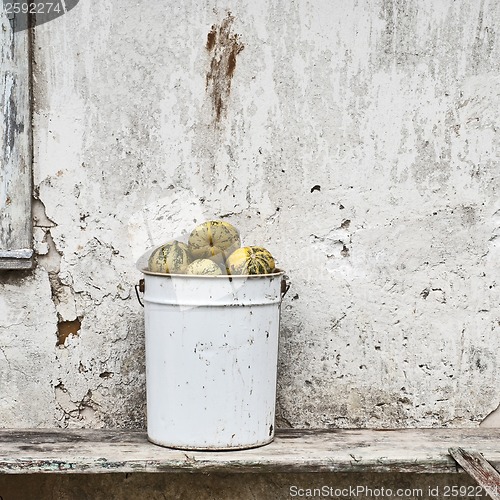 Image of pumpkins in the bucket near the wall