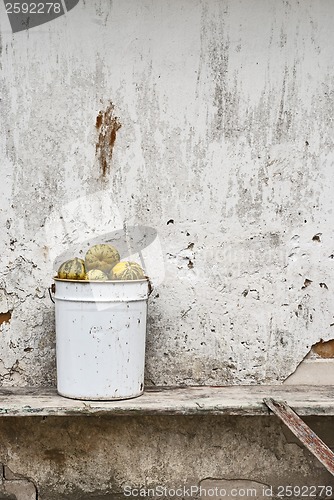 Image of pumpkins in the bucket