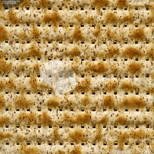 Image of corn cookie bakground