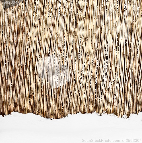 Image of fence of dry cane in winter