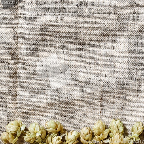 Image of hop border on the linen background