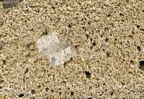 Image of bread background