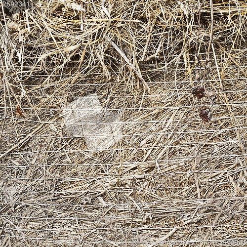 Image of straw bale