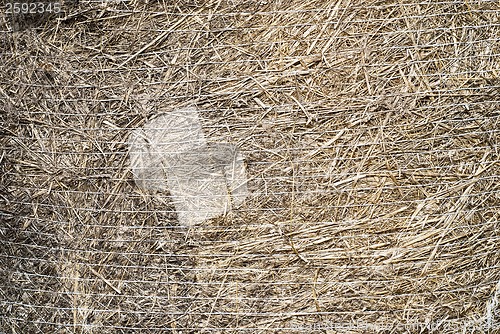 Image of straw bale