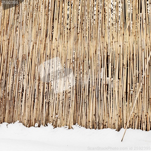 Image of fence of dry cane in winter