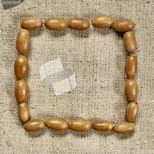 Image of rectangle frame of acorns