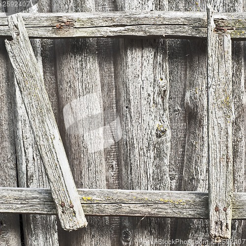 Image of wooden ladder