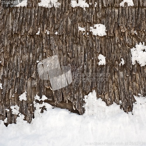 Image of plank wall of old wind mill background, winter time, snow on the