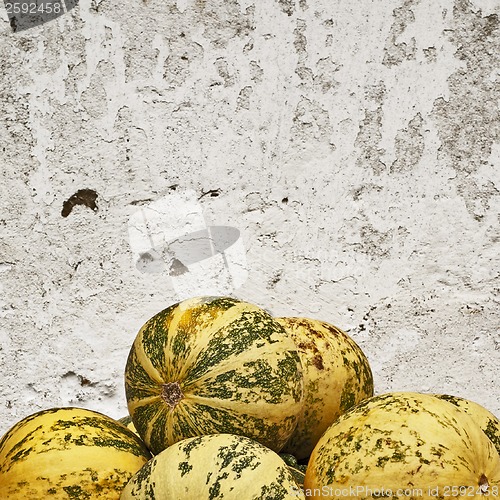 Image of pumpkins near the wall