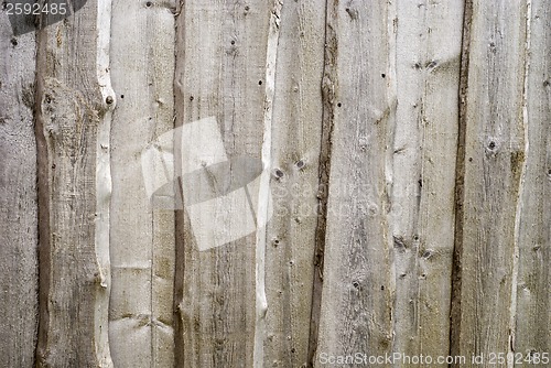 Image of wood texture