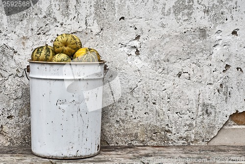 Image of pumpkins in the bucket