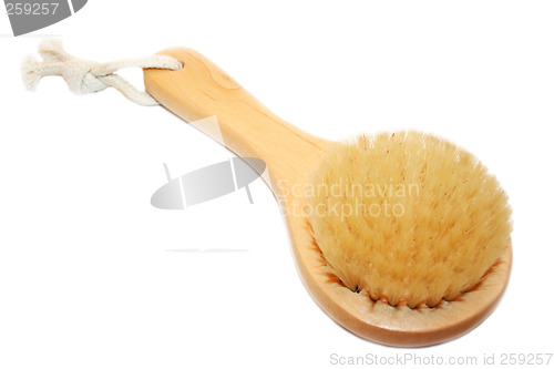 Image of Brush