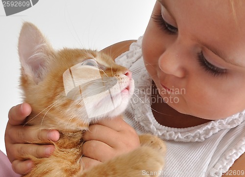 Image of baby child playing with a kitten