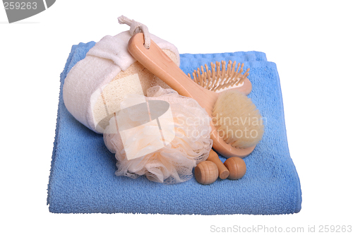 Image of Brushes and Towel