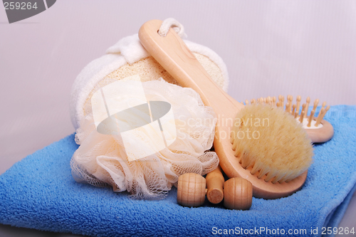 Image of Brushes and Towel