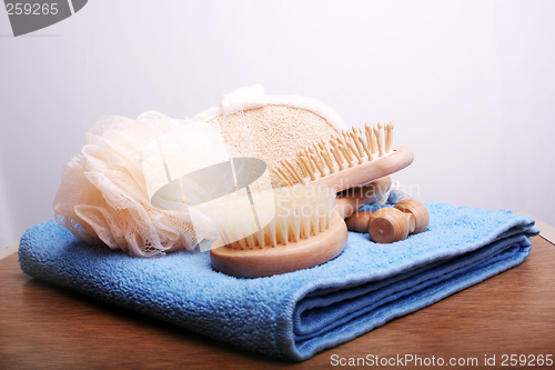 Image of Brushes and Towel