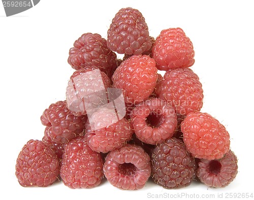 Image of Raspberry