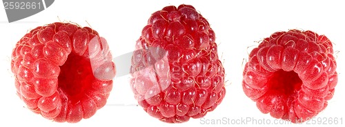 Image of Raspberry Cutout