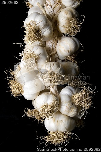 Image of Garlic plait