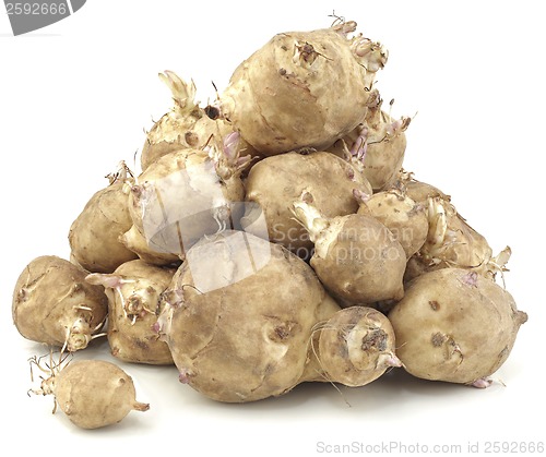 Image of Sunchoke vegetable