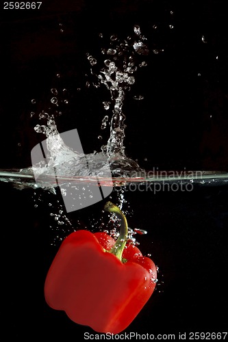 Image of Red Bellpaper Splash