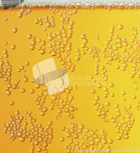 Image of Beer bubbles