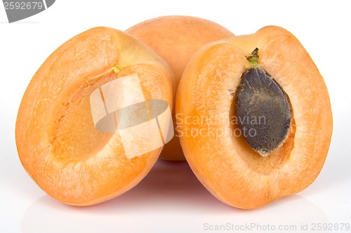 Image of Apricot