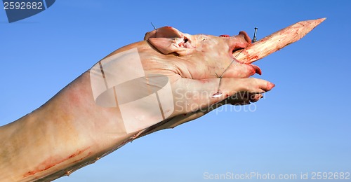Image of Raw Pig