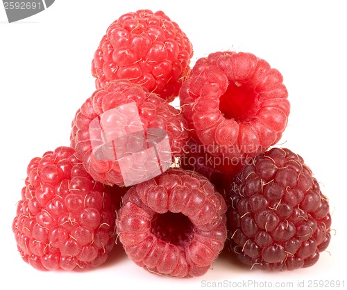 Image of Raspberry