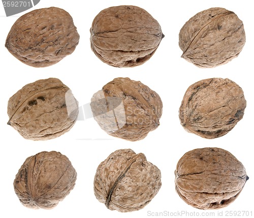 Image of Walnuts