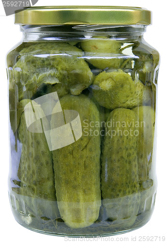 Image of Pickles in the Jar Cutout