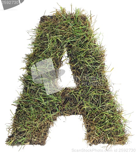 Image of Grassy Letter A Cut Out