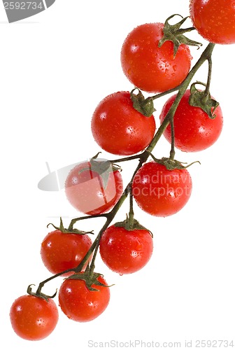 Image of Cherry tomatoes