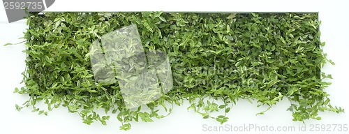 Image of Vertical Garden Cutout