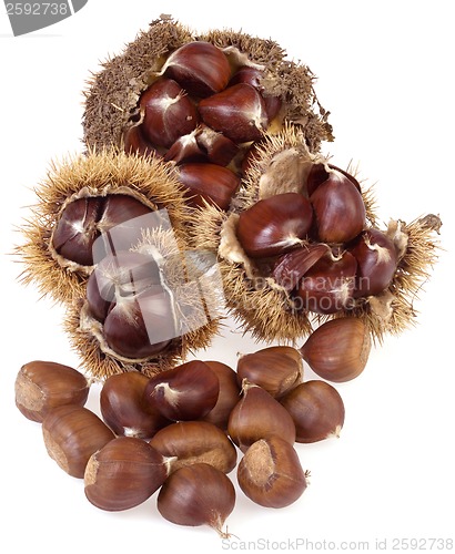 Image of Chestnuts