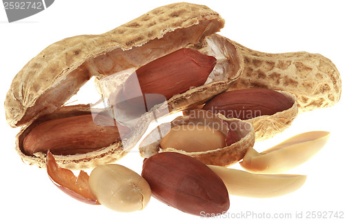 Image of Peanuts Cutout
