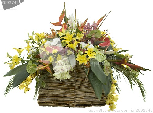 Image of Flowers in Reed Flowerpot