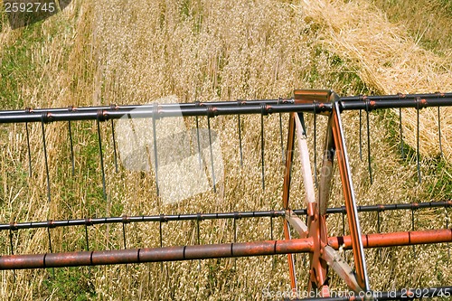 Image of Oat Harvest