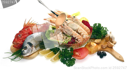 Image of SeaFood