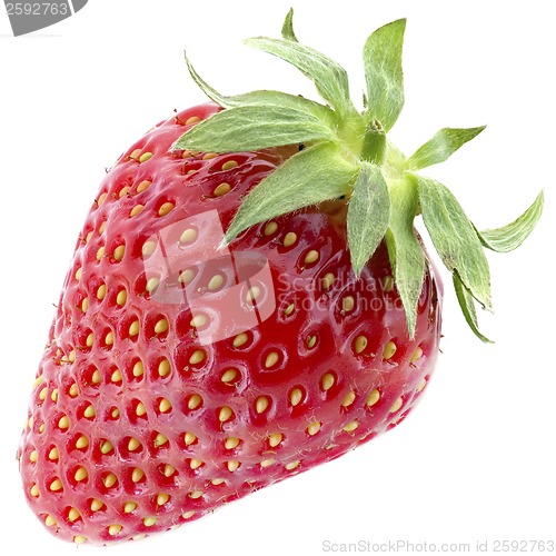 Image of Strawberry
