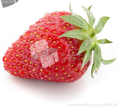 Image of Strawberry