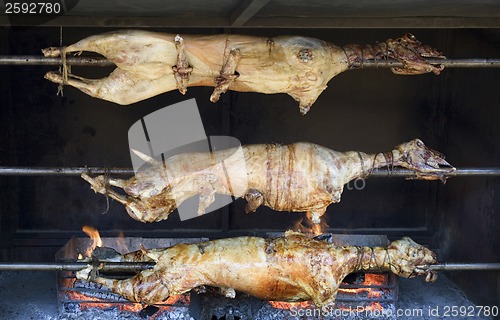 Image of Spit Roasted Lamb