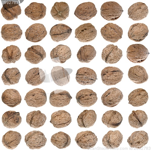 Image of Walnuts