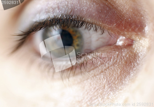 Image of Green eye