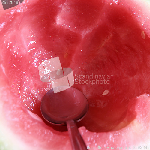 Image of Watermelon