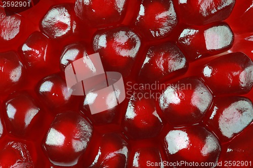Image of Pomegranate Seed Heap