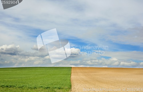 Image of Spring fields