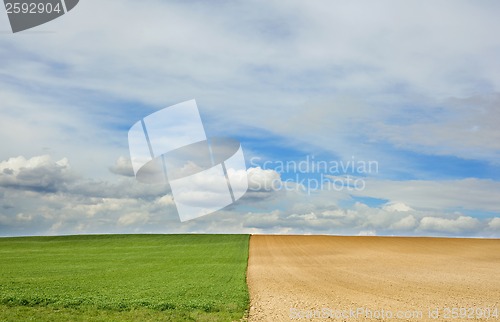 Image of Spring fields